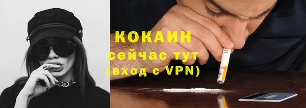 гашик Пестово