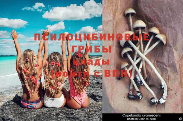 экстази Алзамай
