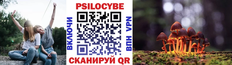 hydra зеркало Чайковский Галлюциногенные грибы Psilocybine cubensis