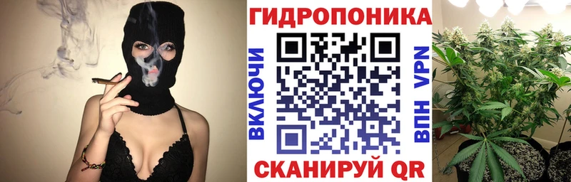 Марихуана семена Чайковский