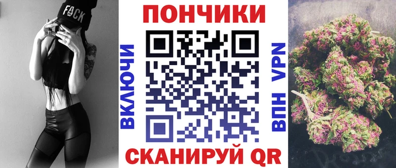 Бошки Шишки SATIVA & INDICA  где купить наркоту  Чайковский 